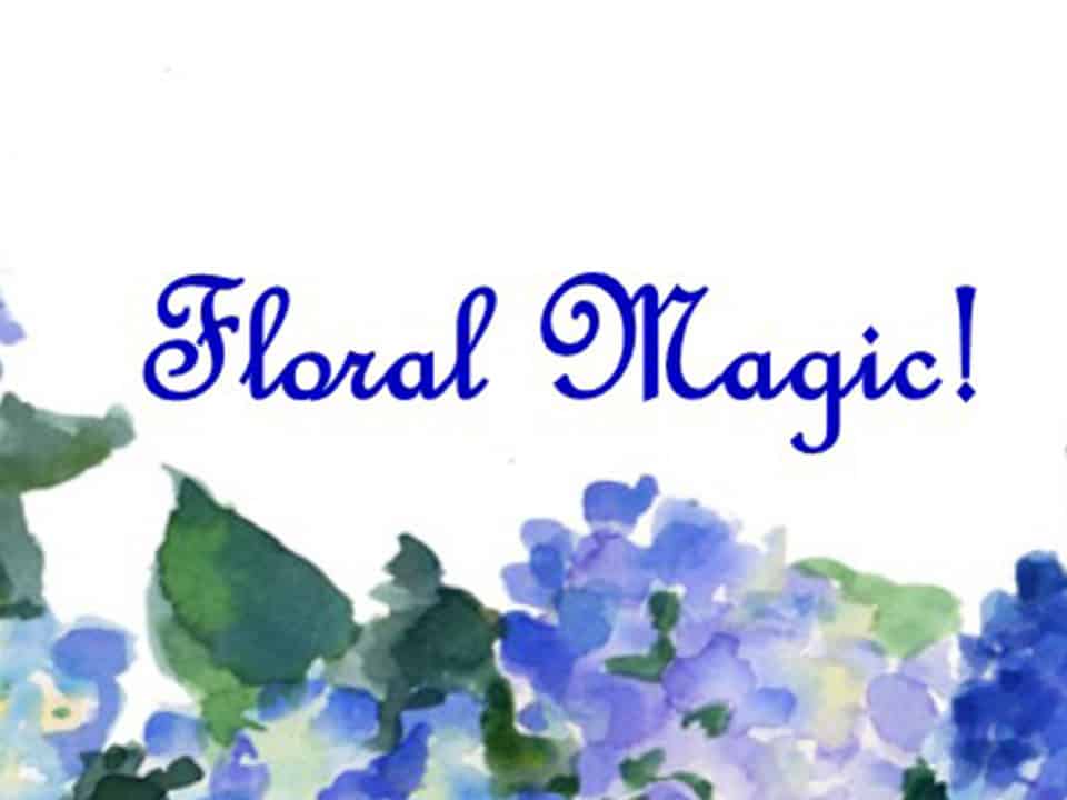 Floral Magic